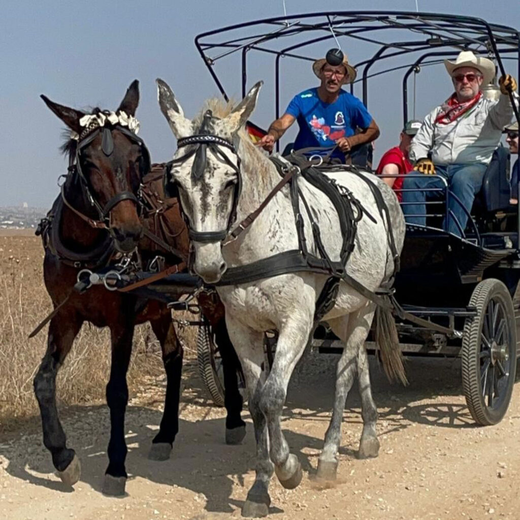 Friedensglocken–Treck unterwegs nach Jerusalem